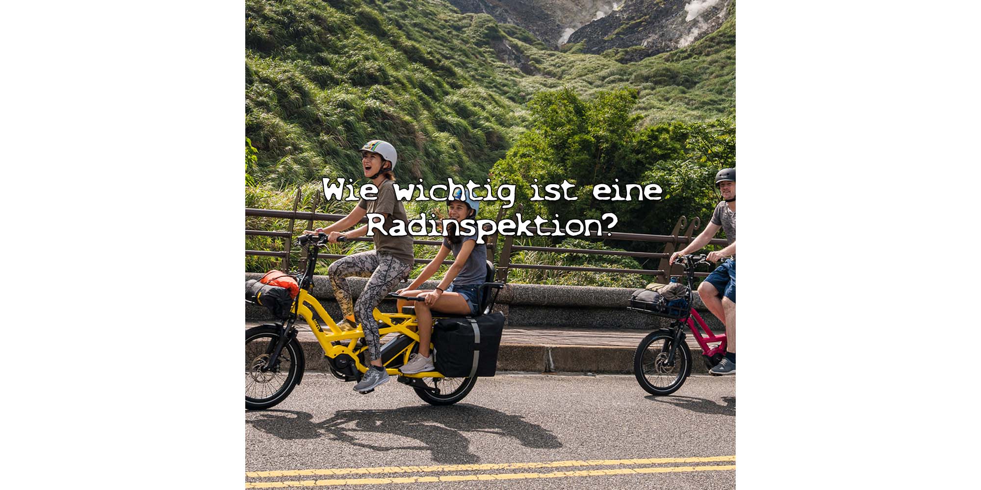 Wie wichtig ist eine Radinspektion?